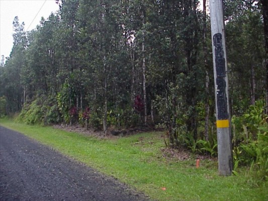 820 Mauna Kea Road Pahoa, HI 96778 - Photo 4 of 11 Gallery Image 4