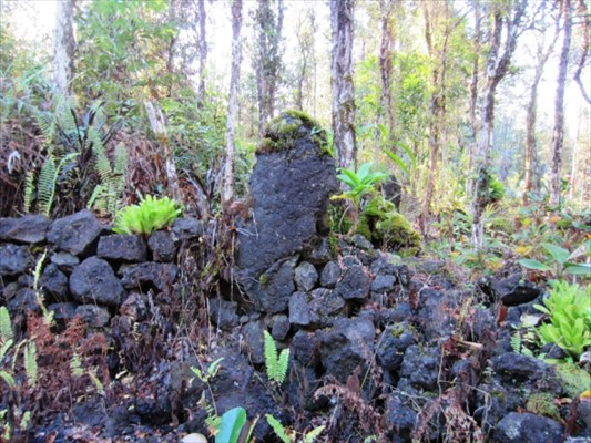 820 Mauna Kea Road Pahoa, HI 96778 - Photo 8 of 11 Gallery Image 8