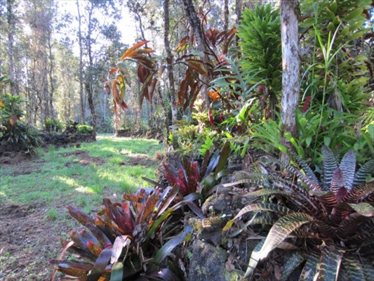 820 Mauna Kea Road Pahoa, HI 96778 - Photo 9 of 11 Gallery Image 9