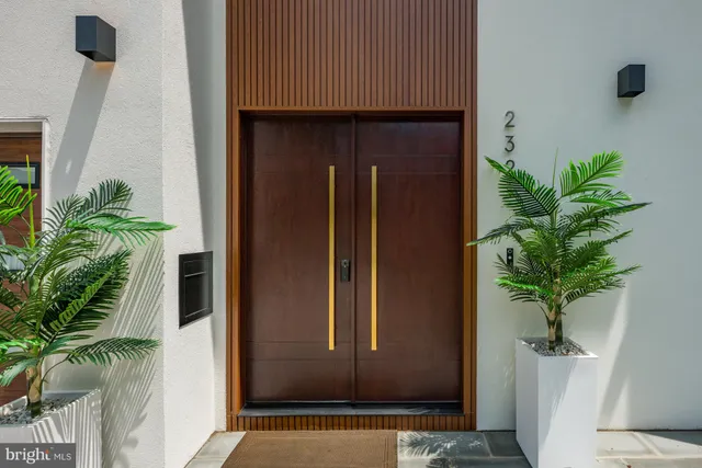 a view of a potted plant in front of a door