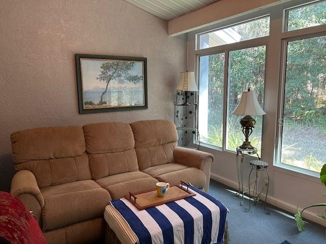 8045 Southwest 115th Loop Ocala, FL 34481 - Photo 1 of 1 Lanai w/view of woods