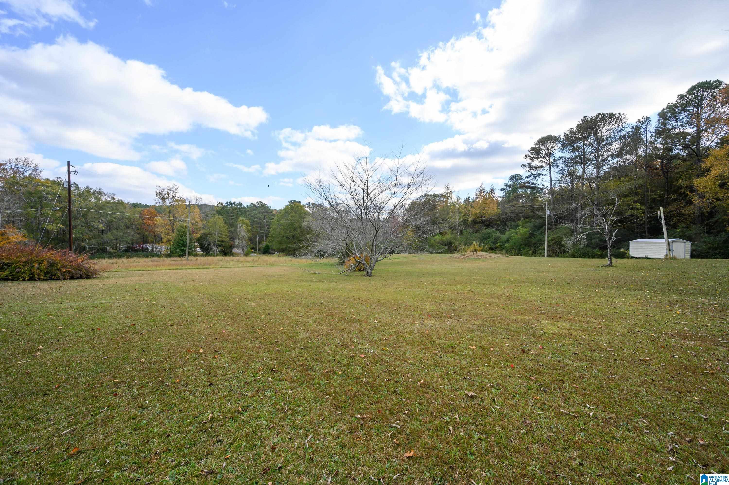 1864 Kelly Loop Road Mount Olive, AL 35117 - Photo 52 of 68