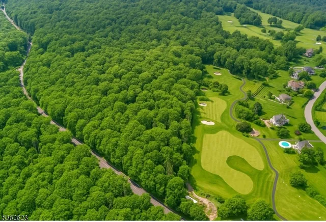 a view of a plant in a garden