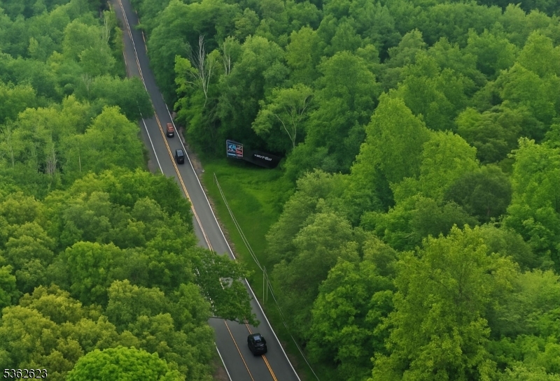 86 Lafayette Road Sparta, NJ 07871 - Photo 11 of 18 a view of a lush green forest