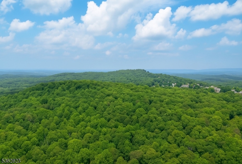 86 Lafayette Road Sparta, NJ 07871 - Photo 17 of 18 a view of a big yard with lots of green space