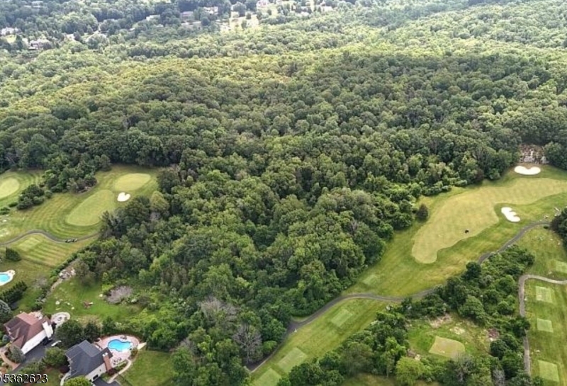 86 Lafayette Road Sparta, NJ 07871 - Photo 8 of 18 a view of a yard with plants and lake view