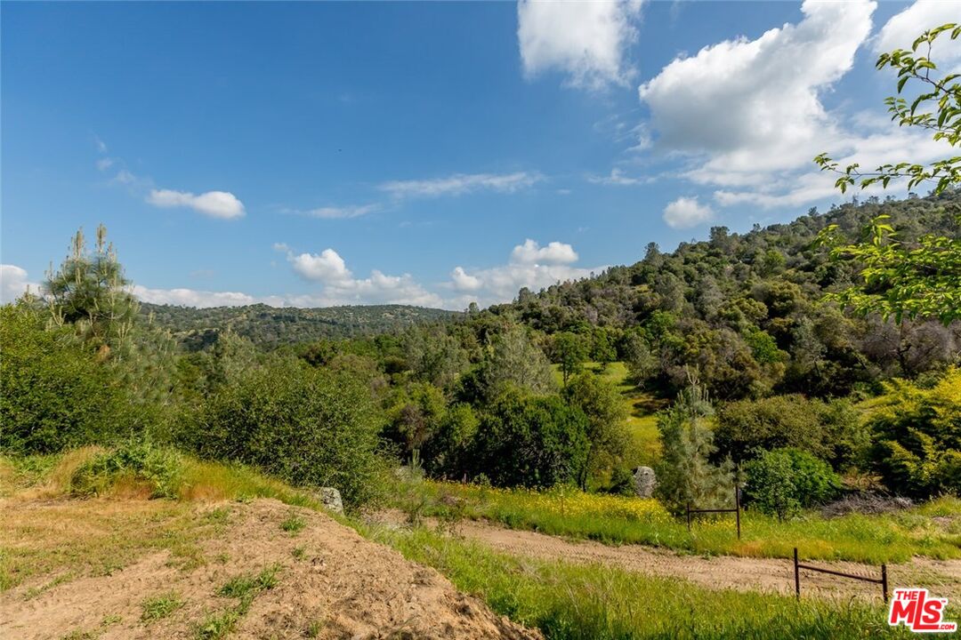 4132 Usona Road Mariposa, CA 95338 - Photo 4 of 26 a view of a yard