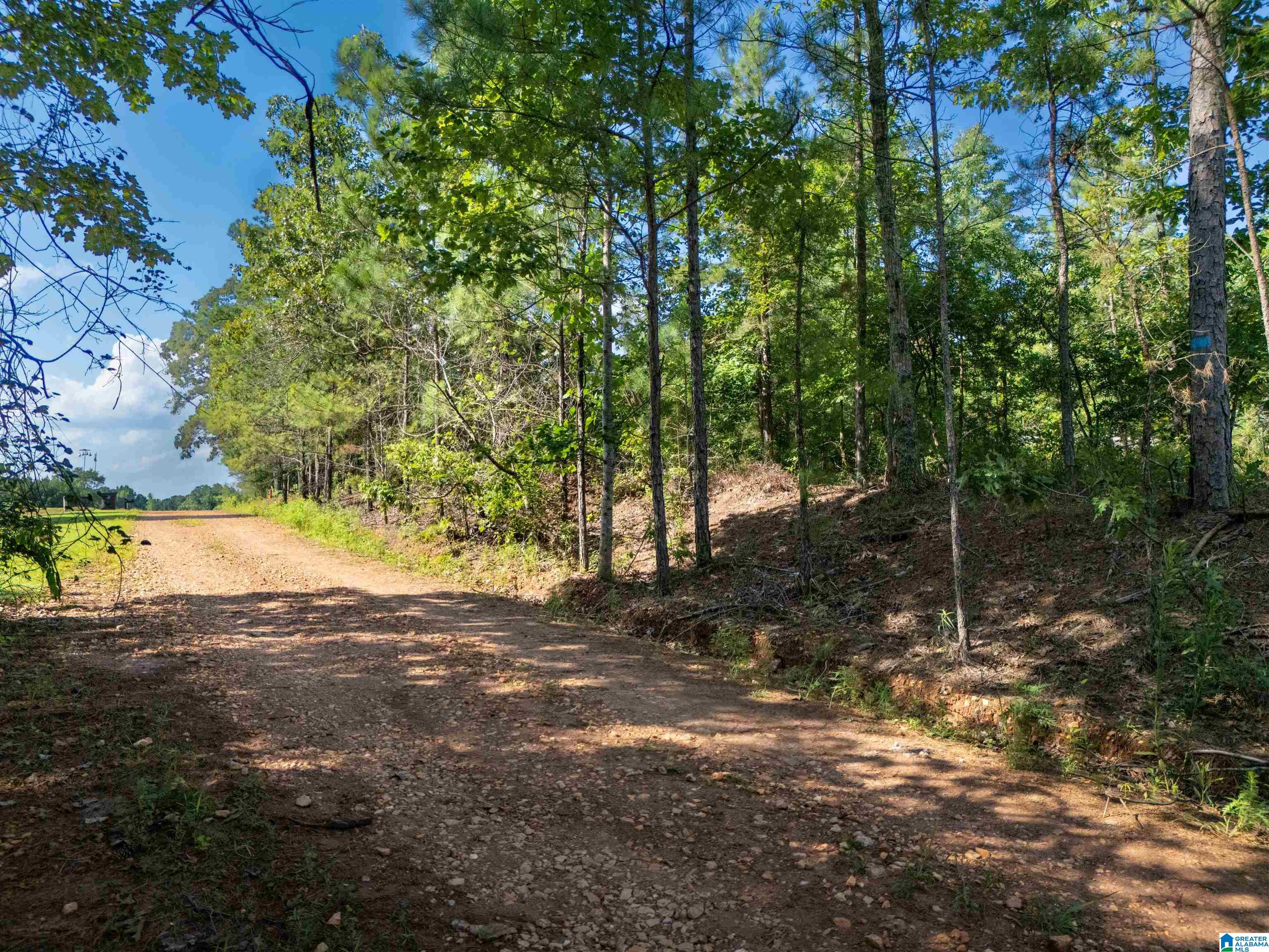 584 Moncus Road, Unit 5 Cragford, AL 36255 - Photo 11 of 13 Gallery Image 11