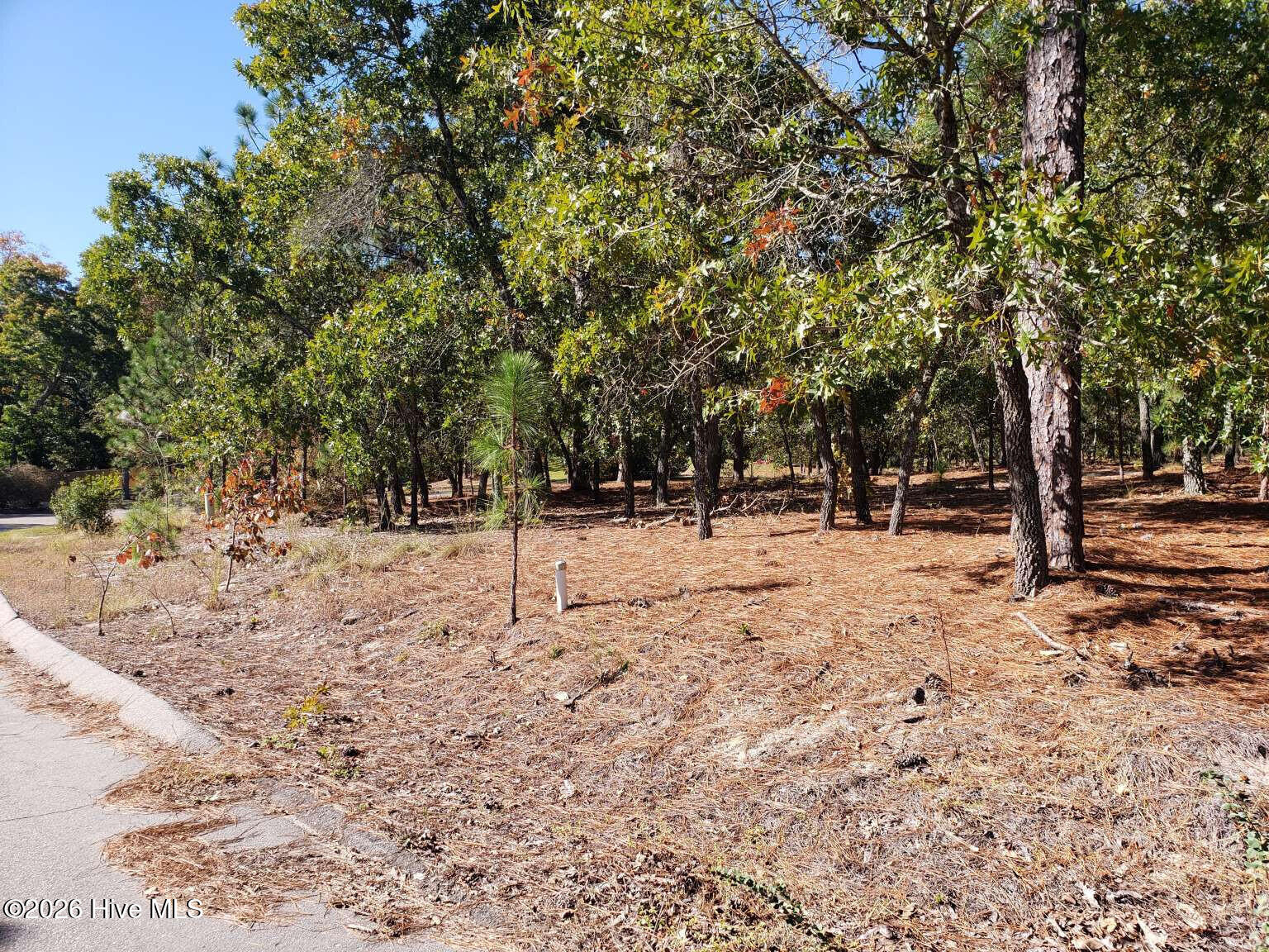 325 Fieldcrest Road Southern Pines, NC 28387 - Photo 2 of 3 Shilling.2