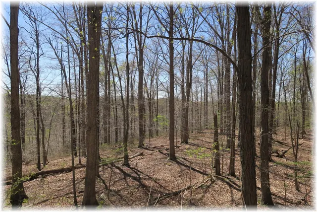 a view of outdoor space with a wooden fence