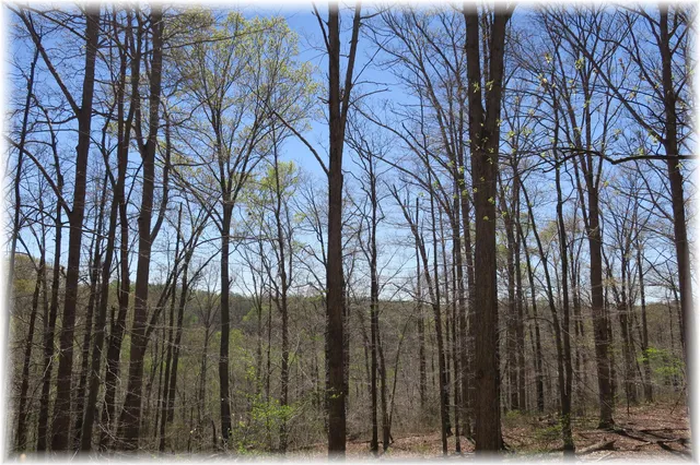 a view of outdoor space with street view