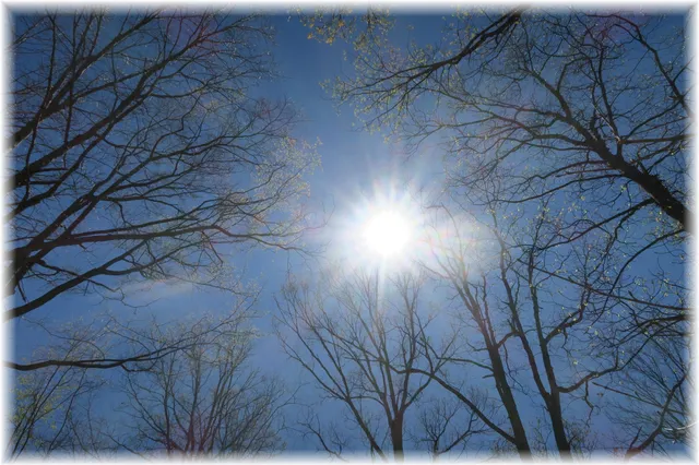 $1,530,000 | 0 Mccrory, Nashville, TN 37221