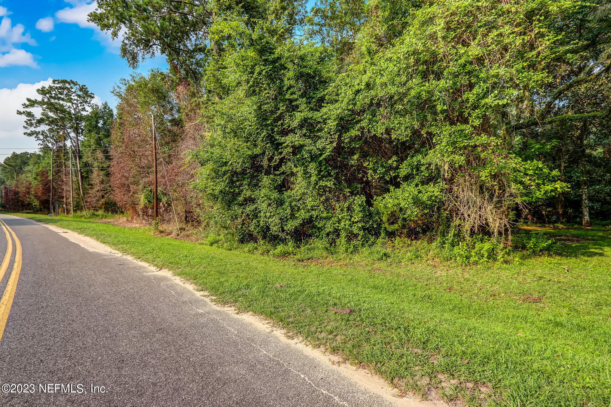 0 Middle Road Hilliard, FL 32046 - Photo 2 of 19 a view of a yard with a tree