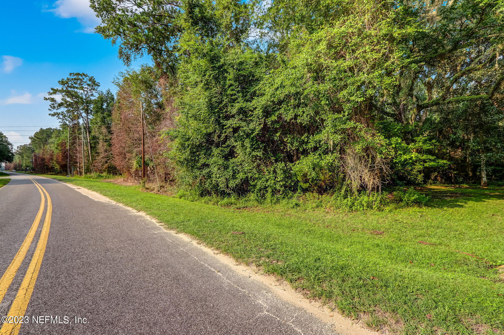 0 Middle Road Hilliard, FL 32046 - Photo 3 of 19 a view of a grassy area with an trees