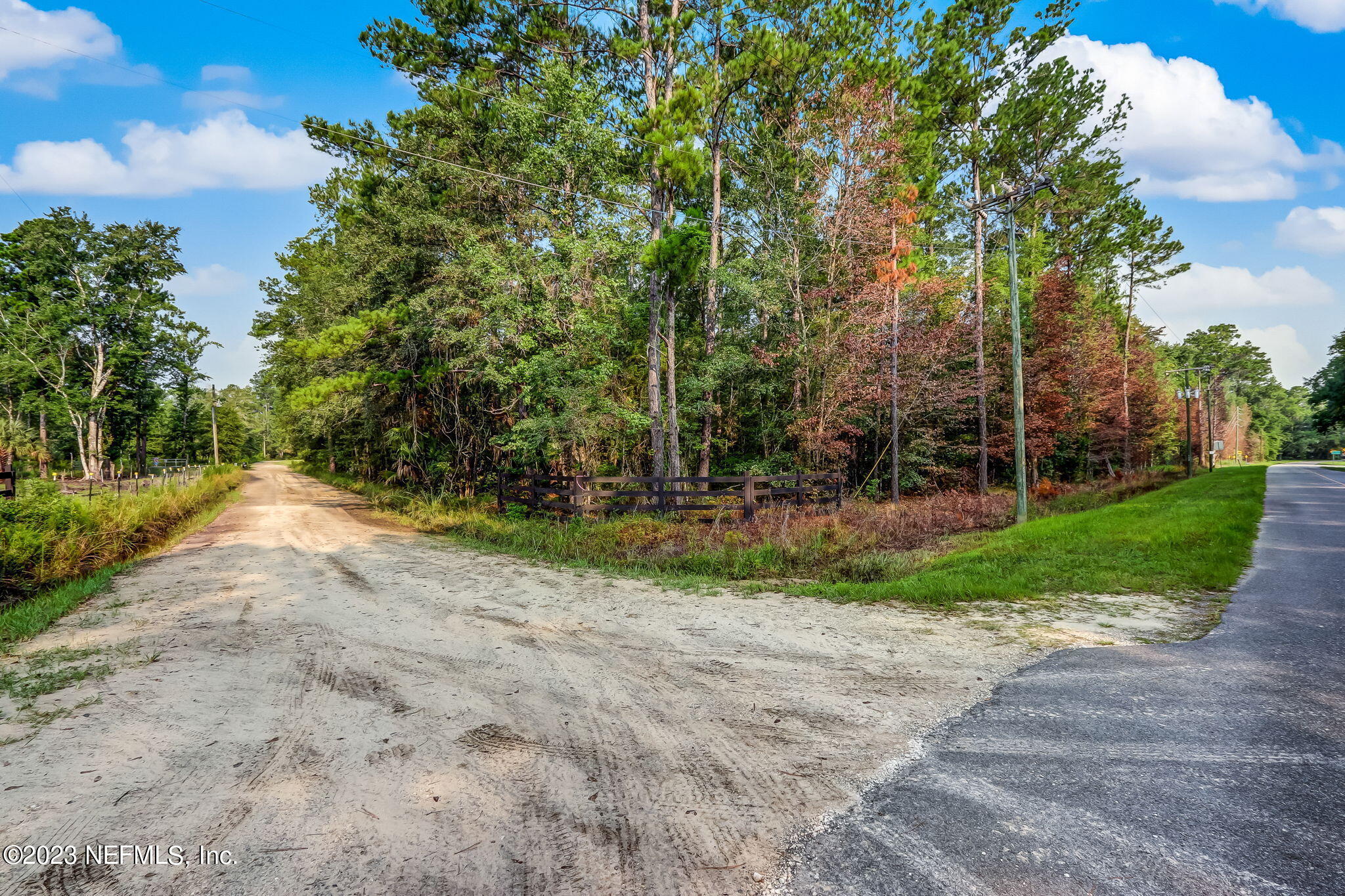 0 Middle Road Hilliard, FL 32046 - Photo 5 of 19 a view of a yard with plants and trees