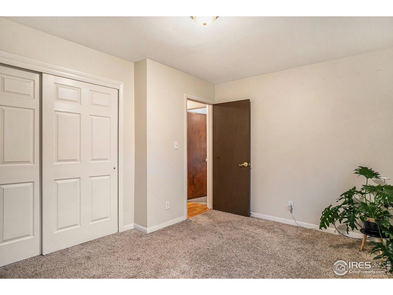 1602 Edora Road Fort Collins, CO 80525 - Photo 18 of 33 Carpets are in great shape