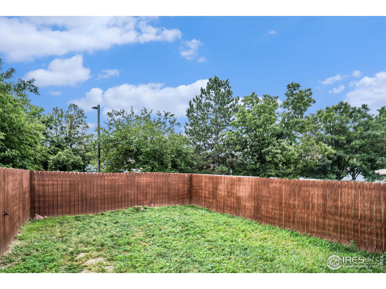 1602 Edora Road Fort Collins, CO 80525 - Photo 23 of 33 Fence NEW in 2022!