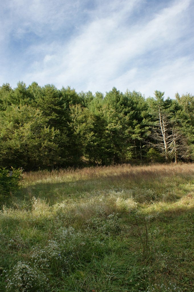 852 Liberty Hill Road Fries, VA 24330 - Photo 25 of 28 Gallery Image 25