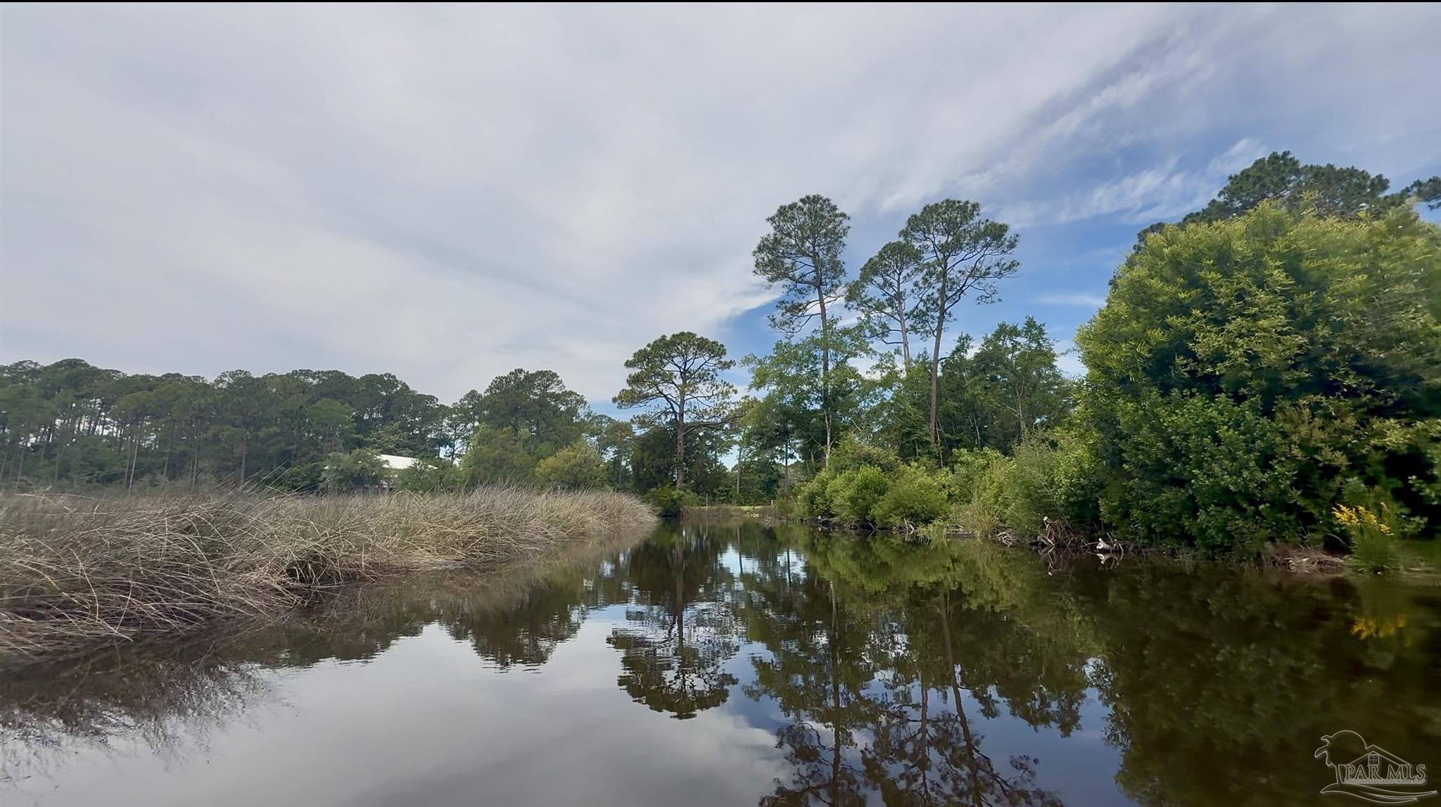 7524 Petersen Point Road Milton, FL 32583 - Photo 5 of 26 a view of a lake in middle of forest