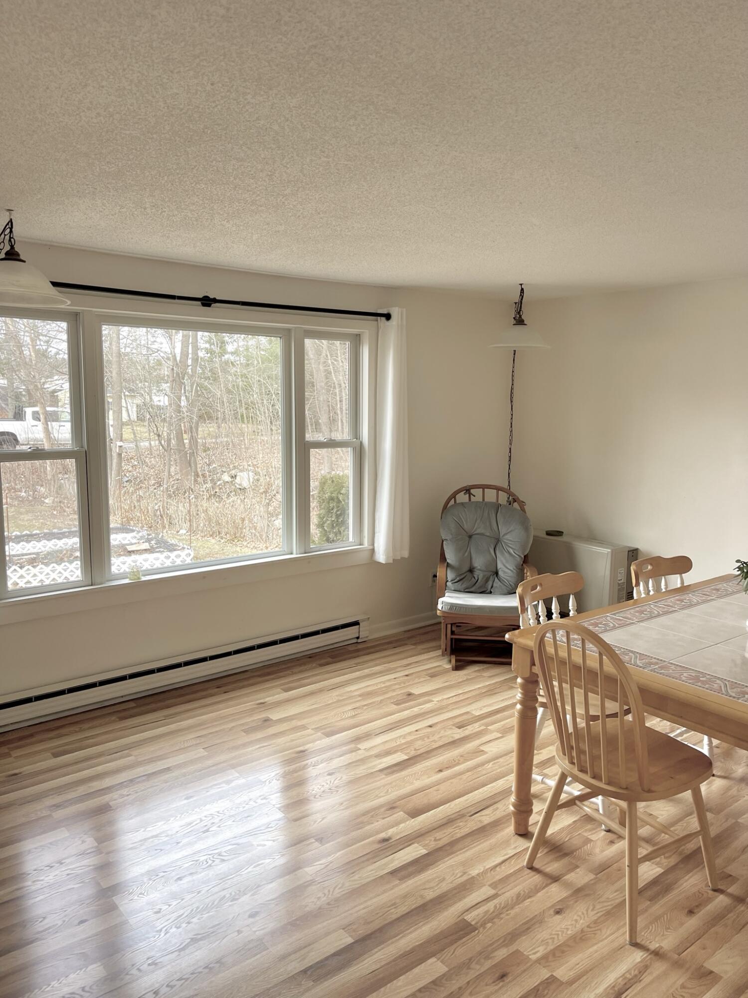 21 Drake Street Portland, ME 04103 - Photo 12 of 47 IMG_5207