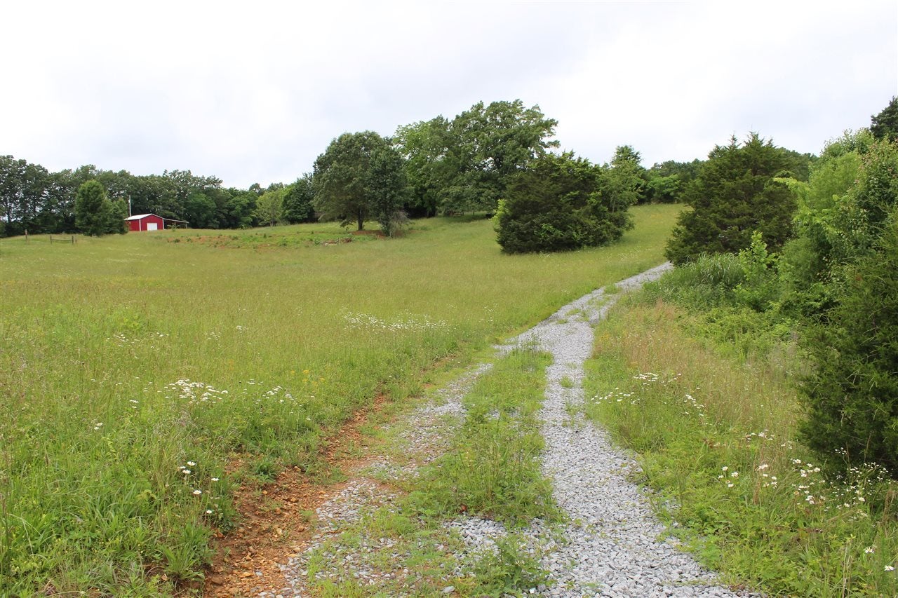 695 Calvert Road Adolphus, KY 42120 - Photo 4 of 10 Gallery Image 4