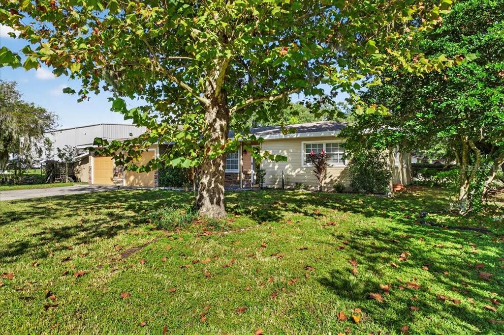 1501 North Combee Road Lakeland, FL 33801 - Photo 4 of 34 a view of a house with a tree