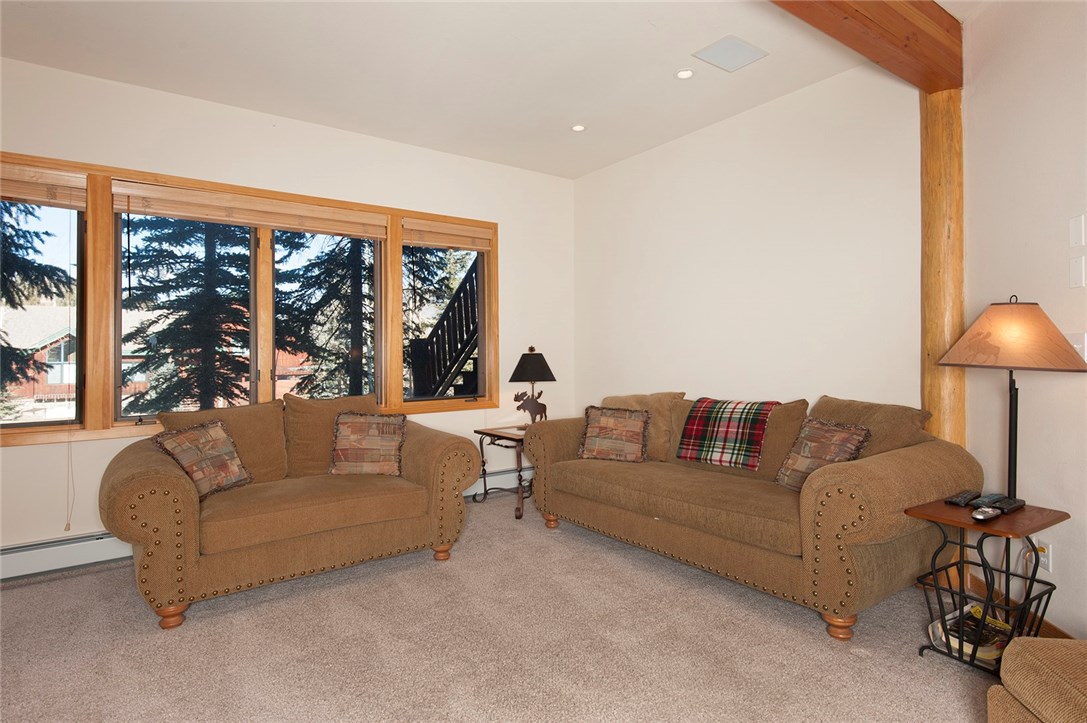 735 Wild Rose Road Silverthorne, CO 80498 - Photo 9 of 25 Gallery Image 9