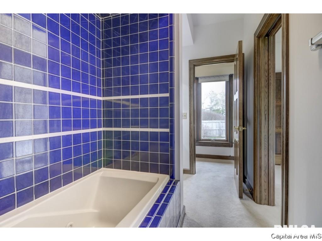 6094 Fulton Road New Berlin, IL 62670 - Photo 17 of 27