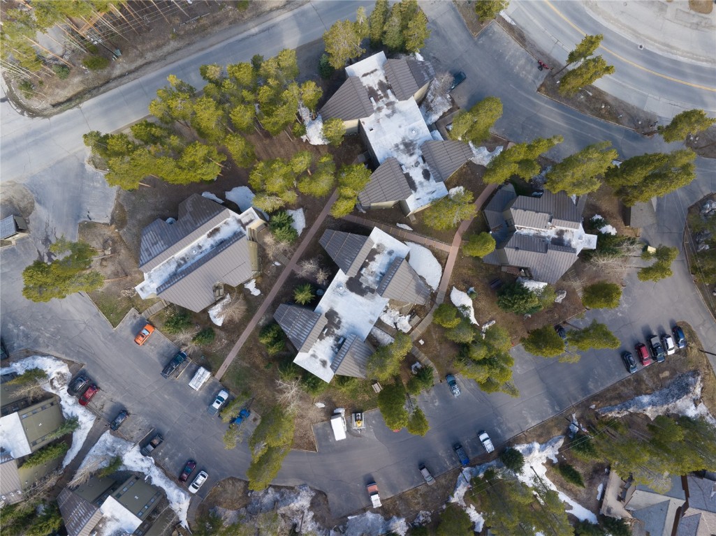 1179 Ski Hill Road, Unit 147 Breckenridge, CO 80424 - Photo 36 of 43 a picture of flowers