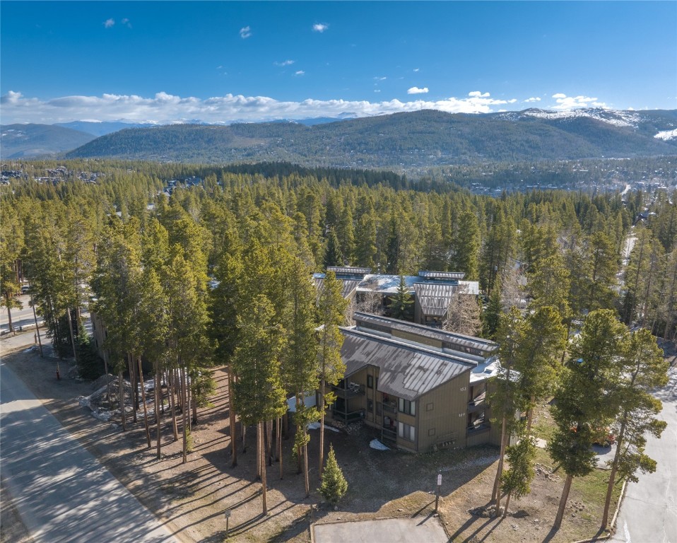 1179 Ski Hill Road, Unit 147 Breckenridge, CO 80424 - Photo 40 of 43 a view of a balcony with an ocean view