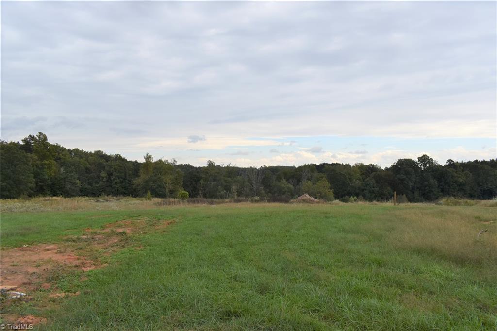 491 Troublesome Road Reidsville, NC 27320 - Photo 1 of 6 This lot is perfect for morning sunrise views or solar homes. This view is towards the east.