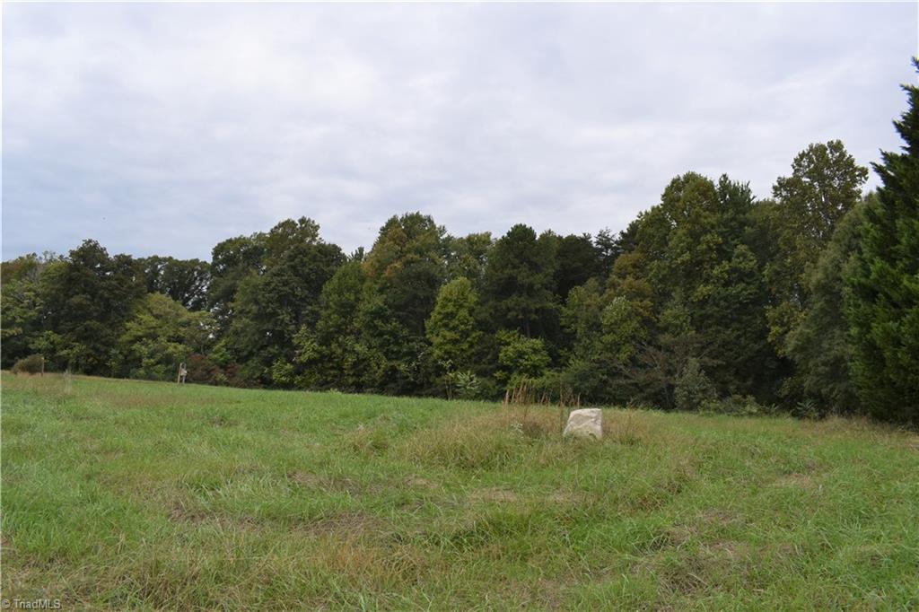 491 Troublesome Road Reidsville, NC 27320 - Photo 4 of 6 View North from near the upper home site