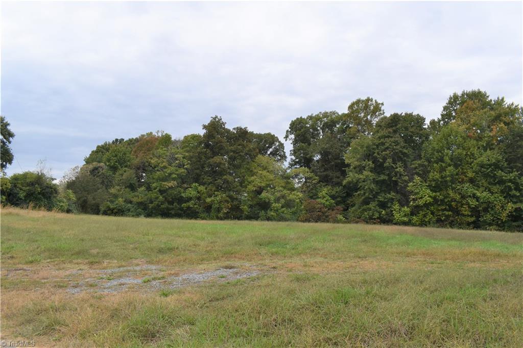 491 Troublesome Road Reidsville, NC 27320 - Photo 5 of 6 second view west!