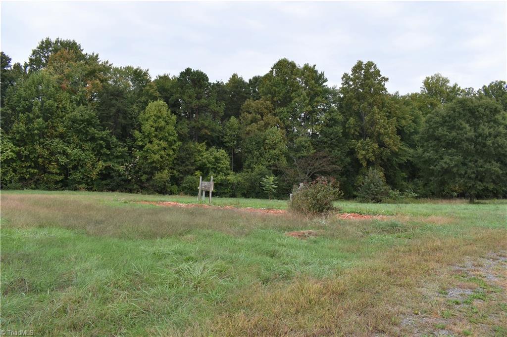 491 Troublesome Road Reidsville, NC 27320 - Photo 6 of 6 View Northeast of the lower home sites. Call today for more information!