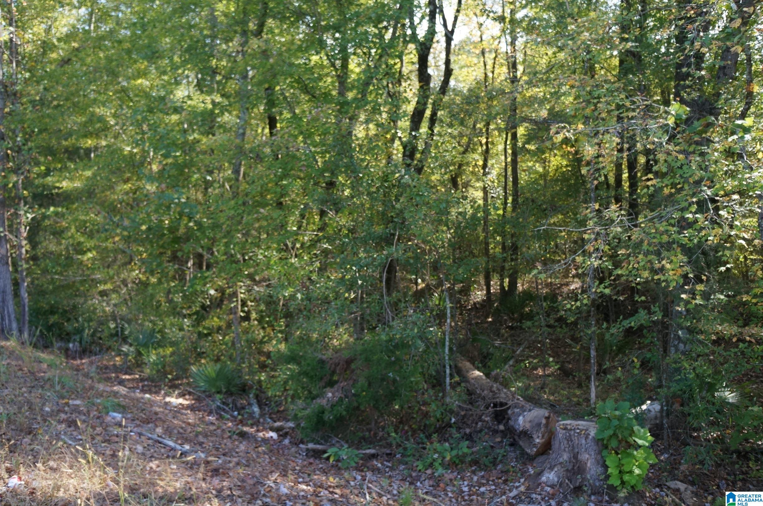 0 Old Fayetteville Road Sylacauga, AL 35151 - Photo 4 of 10