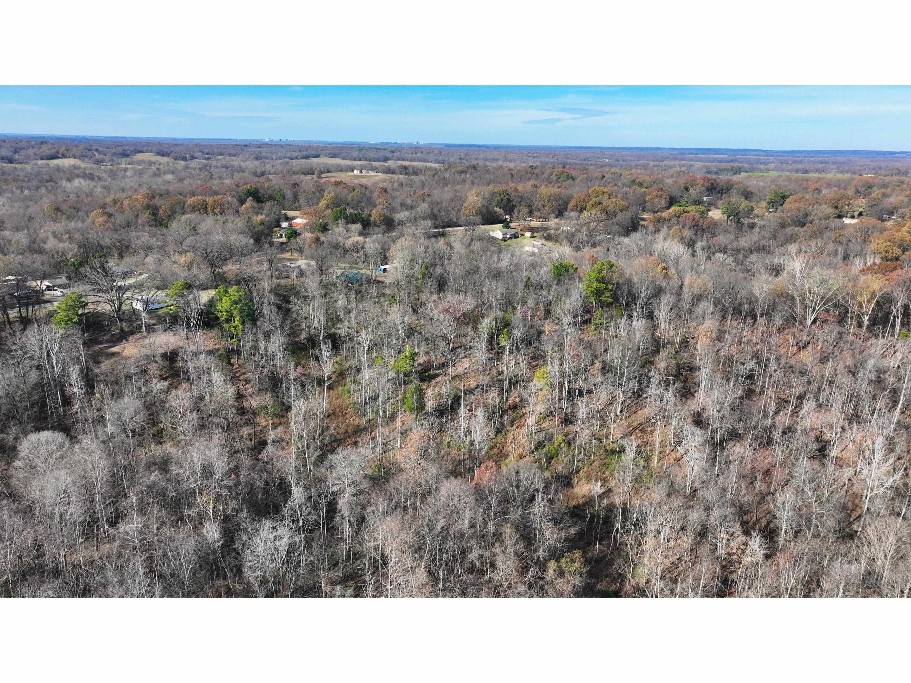 Munford Giltedge Road Burlison, TN 38015 - Photo 11 of 16