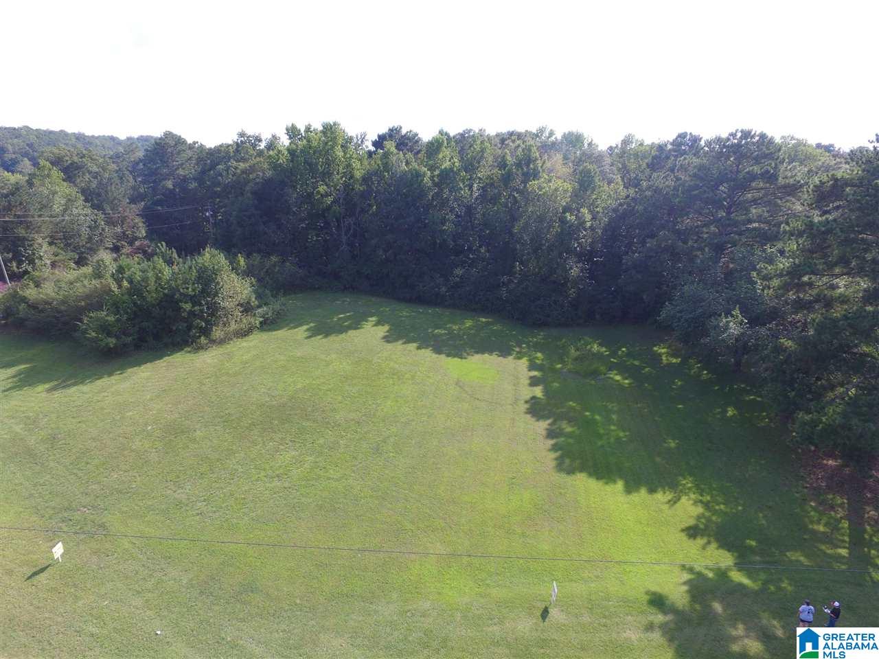 0 Sanie Road, Unit 4 AC Odenville, AL 35120 - Photo 6 of 14