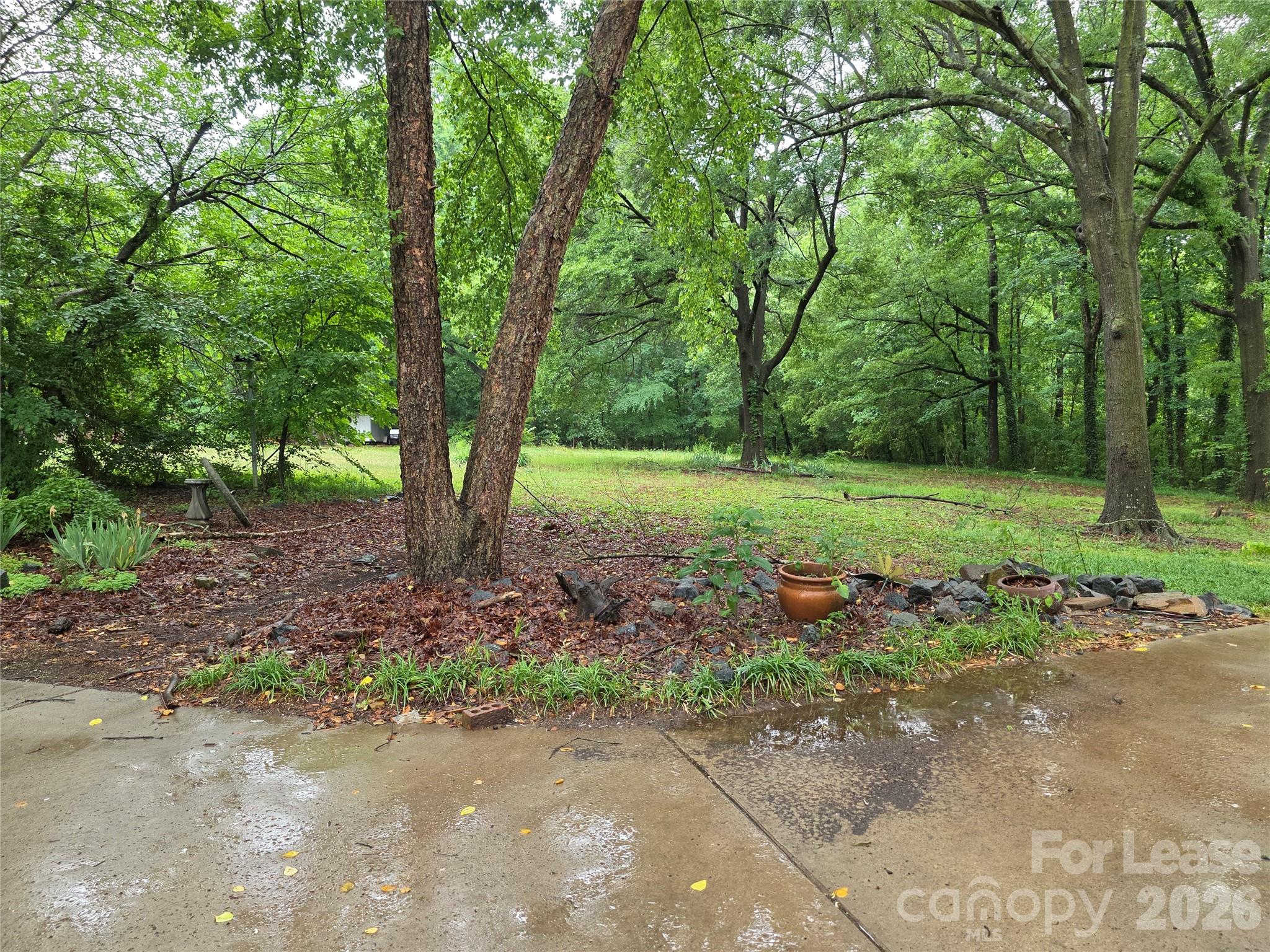 a view of a park with large trees