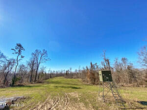 1 Noble-Swamp Road Lorman, MS 39096 - Photo 21 of 45 20250707200525123936000000