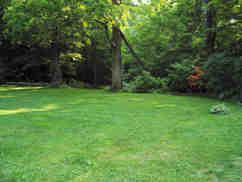 166 Merritt Road Otis, MA 01253 - Photo 10 of 11 a view of a grassy field with trees in the background
