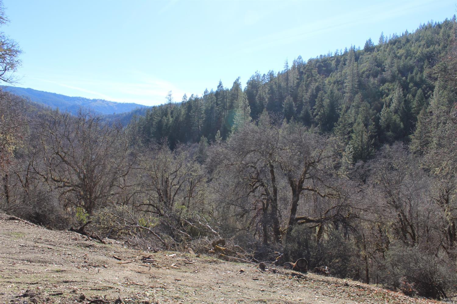29700 Mendocino Pass Road Covelo, CA 95428 - Photo 12 of 27 a view of a dry yard with trees in the background