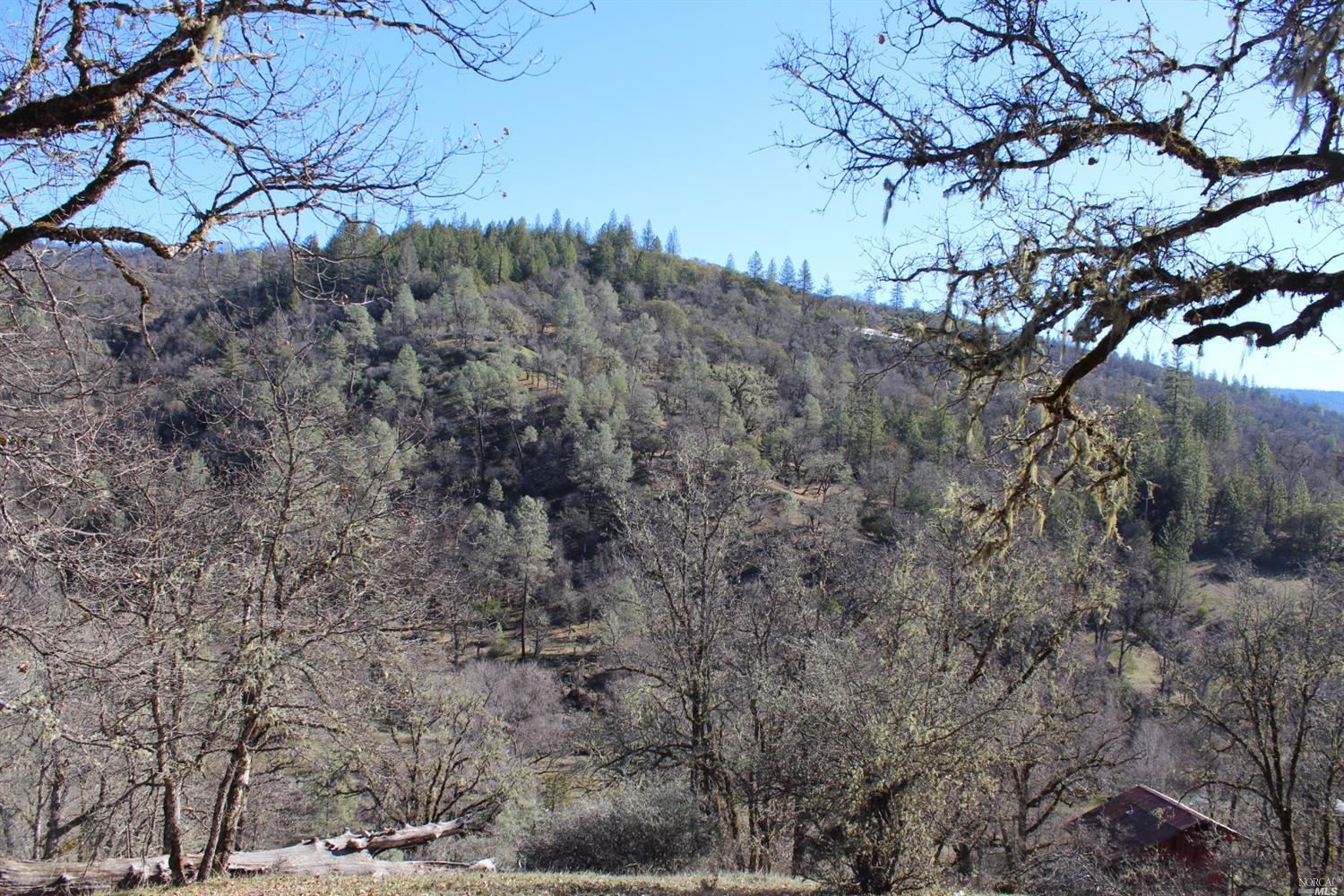 29700 Mendocino Pass Road Covelo, CA 95428 - Photo 13 of 27 a view of a dry yard with lots of bushes