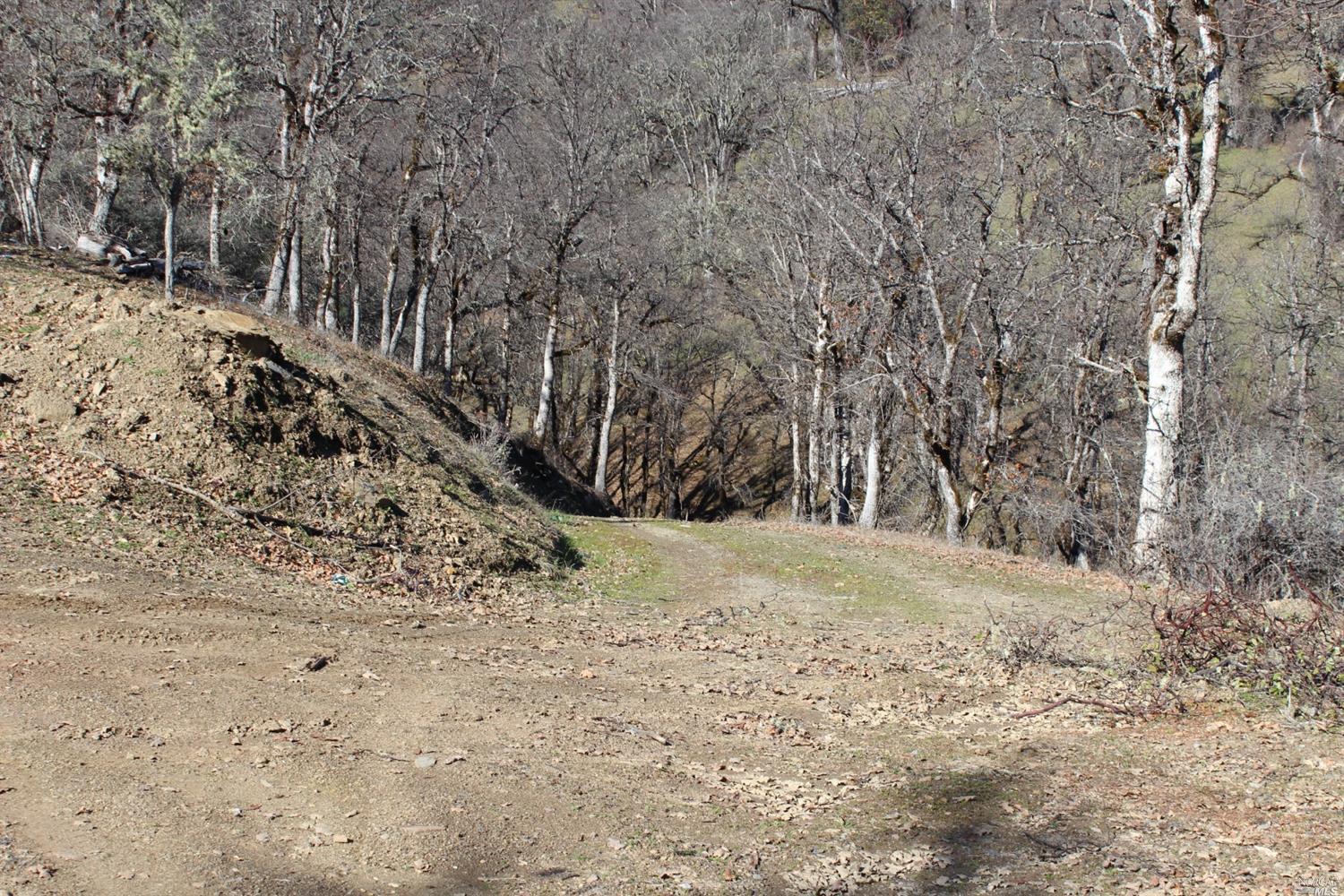 29700 Mendocino Pass Road Covelo, CA 95428 - Photo 14 of 27 a view of a yard covered in snow