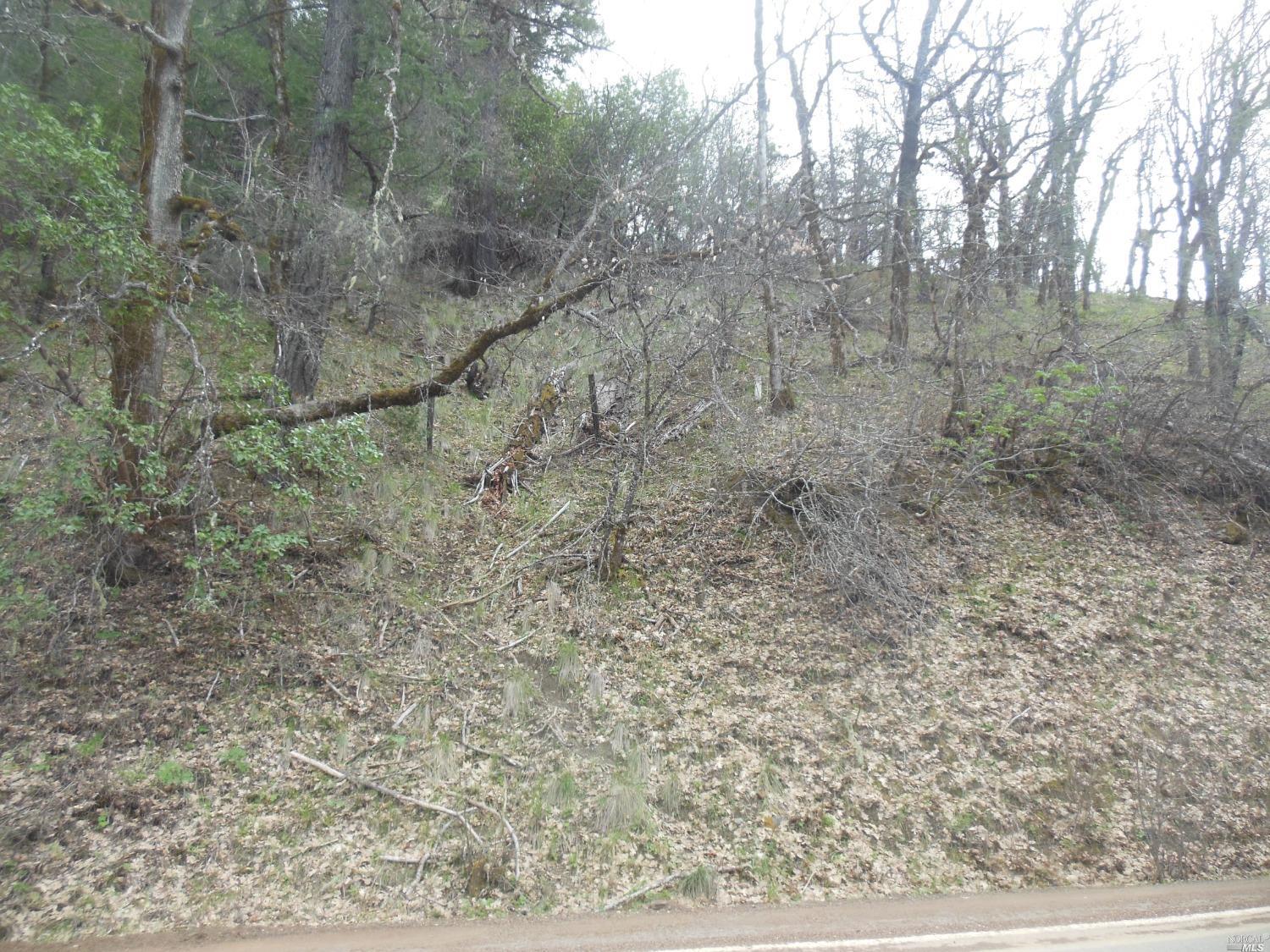 29700 Mendocino Pass Road Covelo, CA 95428 - Photo 17 of 27 a view of a dry yard with trees in the background