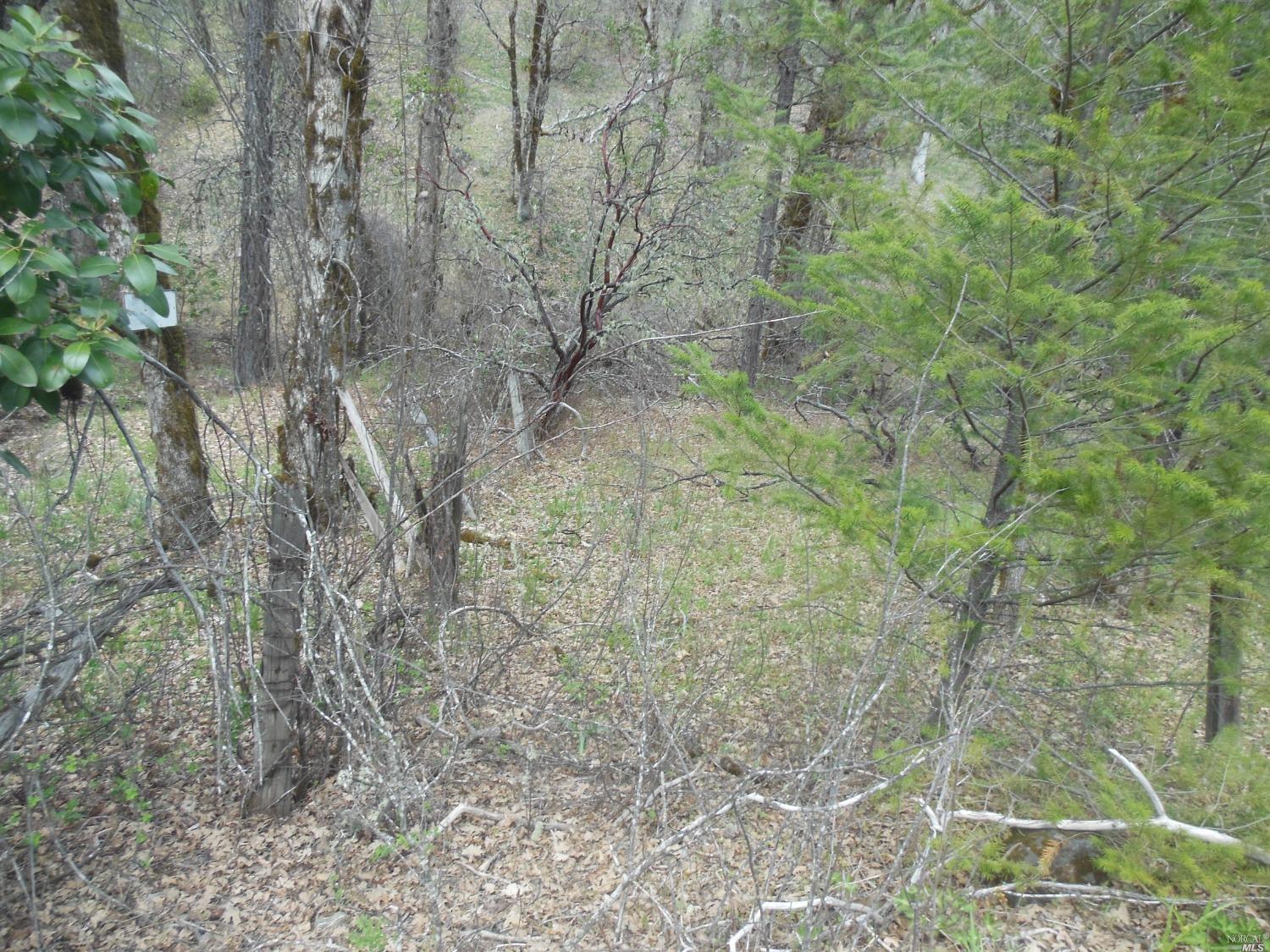 29700 Mendocino Pass Road Covelo, CA 95428 - Photo 18 of 27 a backyard of a building