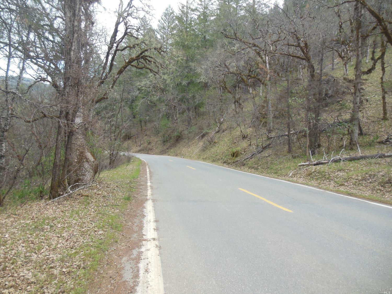 29700 Mendocino Pass Road Covelo, CA 95428 - Photo 21 of 27 a view of a yard with large trees