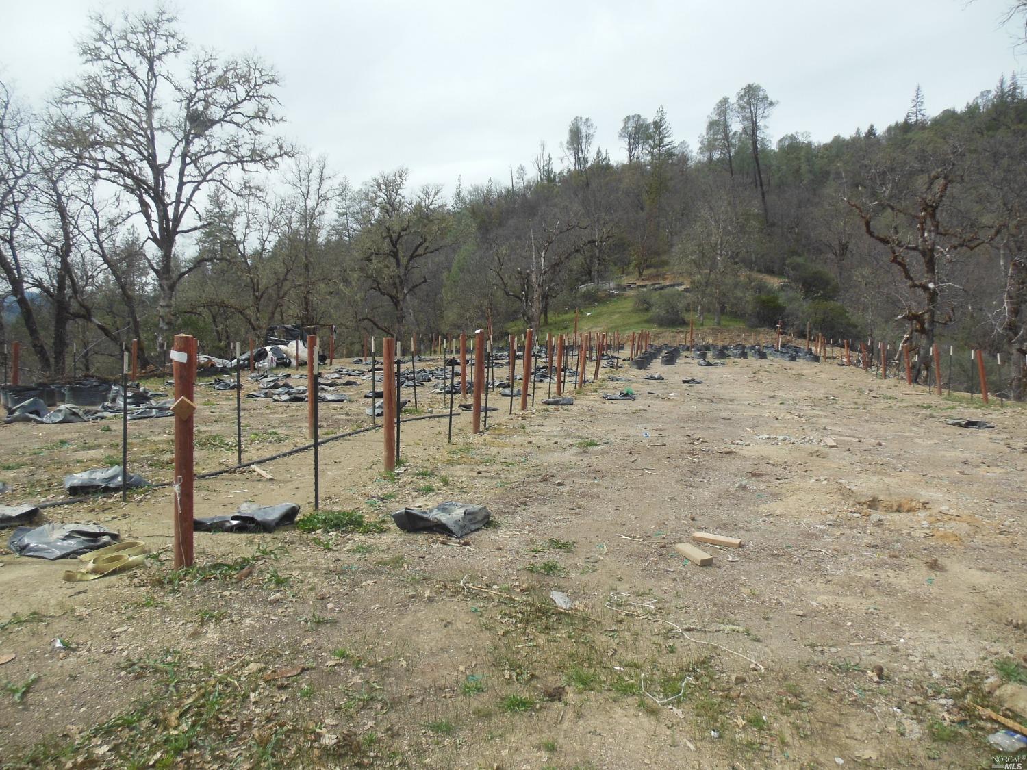 29700 Mendocino Pass Road Covelo, CA 95428 - Photo 25 of 27 a view of a backyard of a house