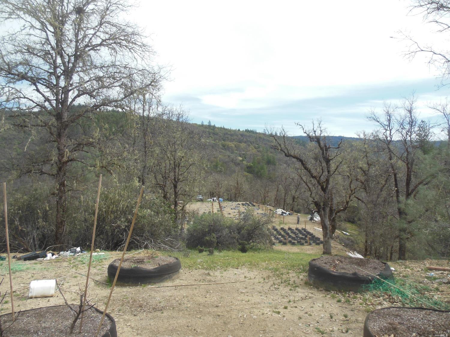 29700 Mendocino Pass Road Covelo, CA 95428 - Photo 27 of 27 a view of a backyard with table and chairs