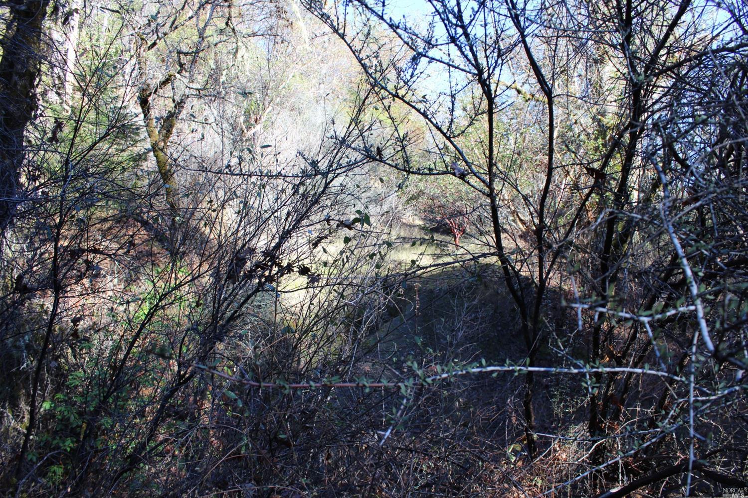 29700 Mendocino Pass Road Covelo, CA 95428 - Photo 3 of 27 a backyard of a house with lots of green space
