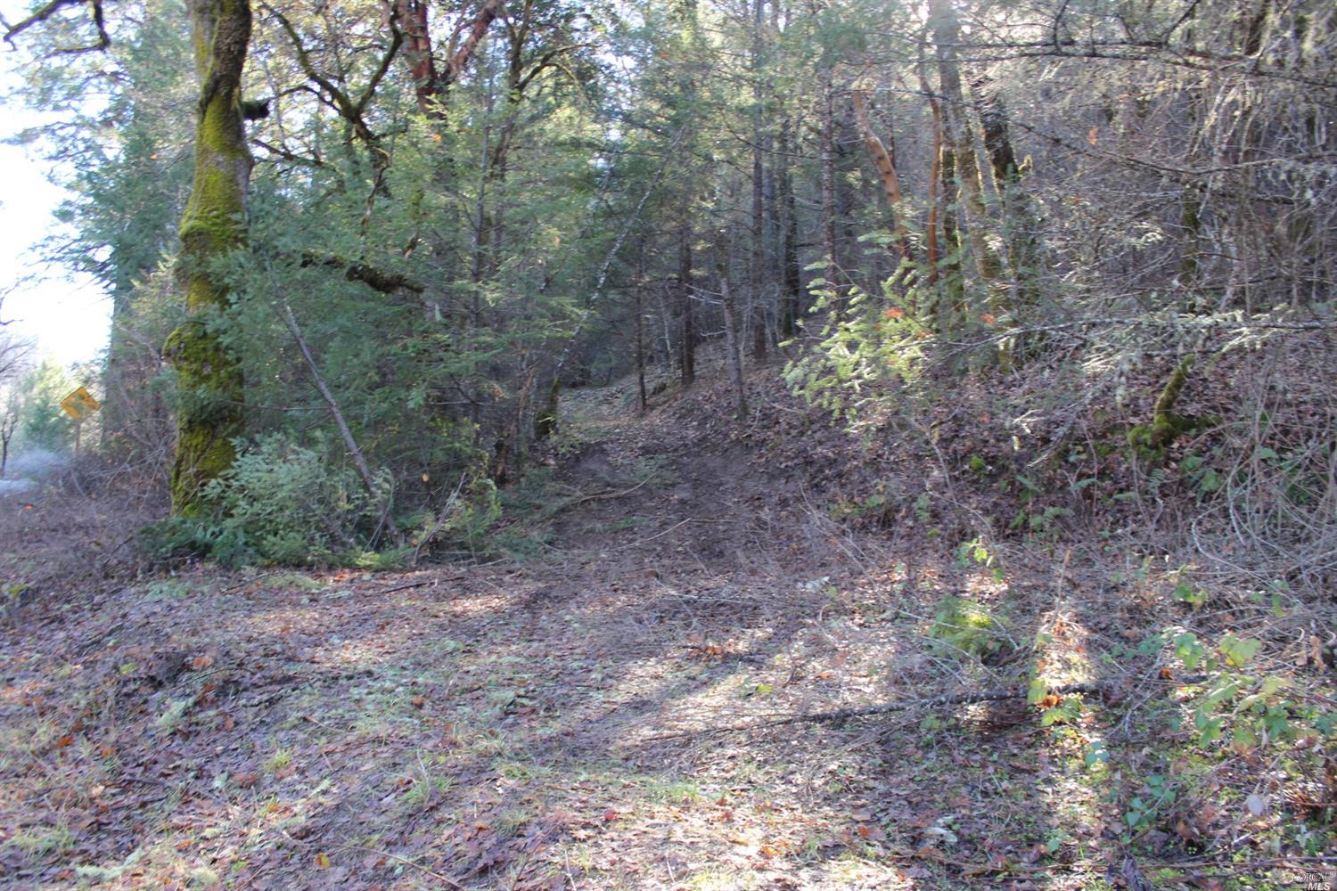 29700 Mendocino Pass Road Covelo, CA 95428 - Photo 4 of 27 a view of a yard with trees
